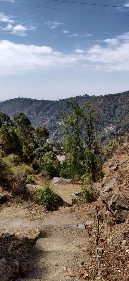 2Bhk Furnished Apartment/Near Kasauli/Barog/Luv Fun & Adventure Солан Экстерьер фото